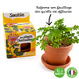 RADIS ET C - Plante extraordinaire - Plante chatouilleuse - vignette