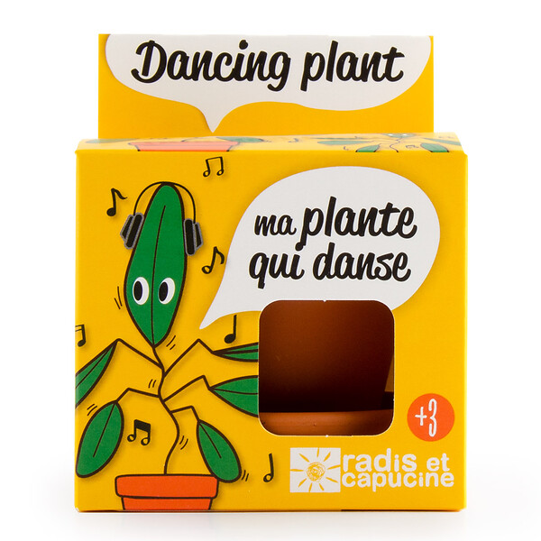 RADIS ET C - Plante extraordinaire - Plante qui danse - large