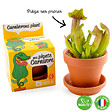 RADIS ET C - Plante extraordinaire - Plante carnivore - vignette
