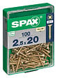SPAXFRANCE - SPAX TF PZ 2.5x20 A2L 100 PC - vignette