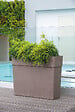 DEROMA - Muret Haut Like R Camel 78xh65cm - vignette