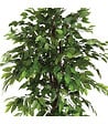 ATMOSPHERA - Plante artificielle Ficus en pot H 180 cm - vignette