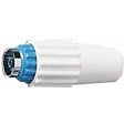 EBENOID - Fiche TV coaxiale femelle bleu 952 mm LEBENOID 032518 - vignette