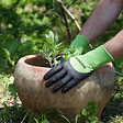 ROSTAING - Gants de jardinage - Touch écran - 4 en 1 - vignette
