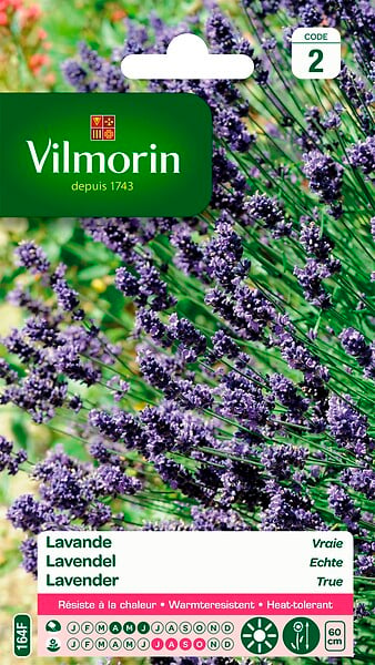 VILMORIN - Lavande Vraie Vilmorin - large