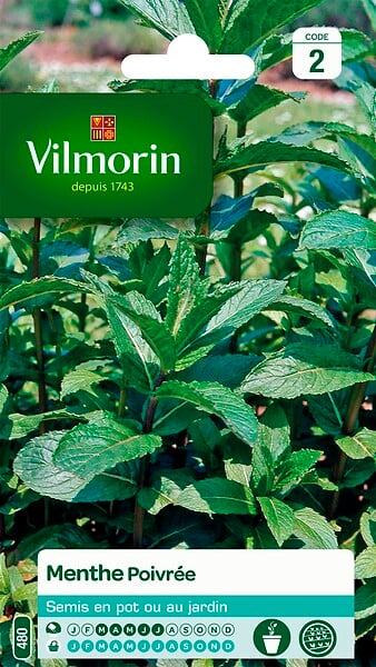 VILMORIN - Menthe poivree - large