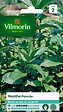 VILMORIN - Menthe poivree - vignette