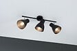 PAULMANN - Spots plafond métal Davy Noir E27 3x20W - vignette