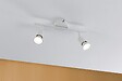 PAULMANN - Spot mural/plafond métal Carolina Blanc mat 2x10W GU10 - vignette