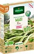 VILMORIN - Graine potager - Haricot Maxi bio - 10m linéaires - vignette