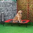 PAWHUT - Lit sur pieds XXL pour chien chat lit de camp animal lit surélevé Oxford textilène micro-perforé dim. 122L x 92l x 23H cm rouge - vignette