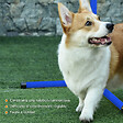 PAWHUT - Agility sport pour chiens set de 4 obstacles professionnels avec système de maintien au sol sac transport fourni bleu noir - vignette