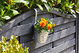 SMARTSOLAR - Jardinière suspendue acier - Diam. 15cm - 26x24x16cm - vignette