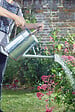 SMARTSOLAR - Arrosoir XL en acier galvanisé - 9 L - 42x23x55cm - vignette
