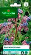 VILMORIN - Bourrache officinale - vignette