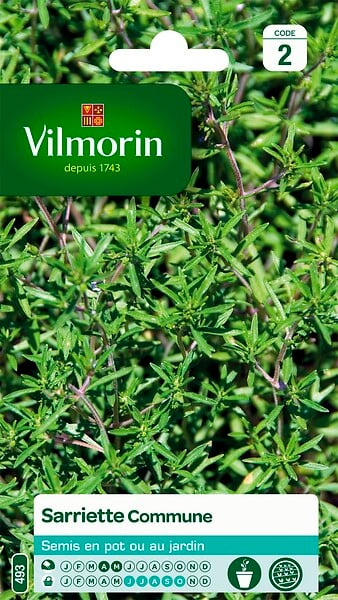 VILMORIN - Sarriette commune - large