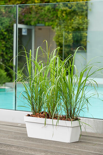 DEROMA - Jardinière Like R rectangulaire Blanc - 49cm - large