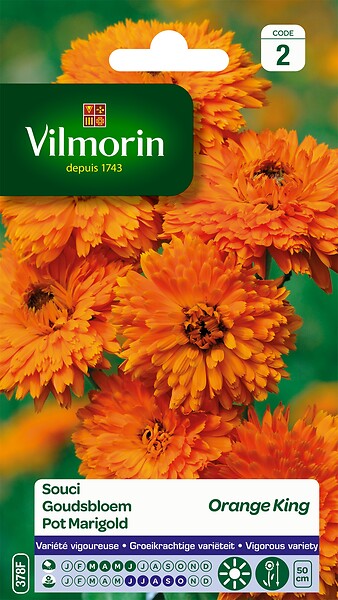VILMORIN - Souci Orange King - Sachet de graines - Fleur annuelle 3g - large