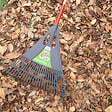 MERMIER - Balai gazon 25 dents résine manche bois 1.50m - vignette