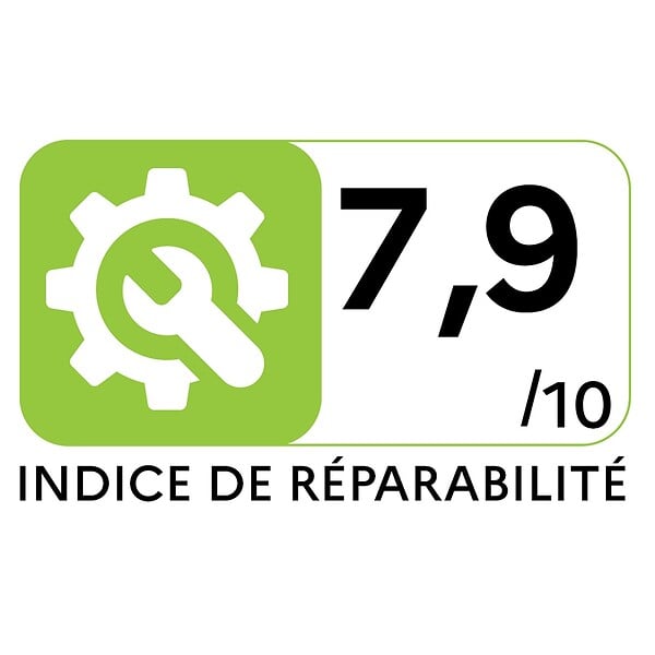 ROWENTA - aspirateur à main rechargeable 4.8v - ac4461.01 - large