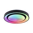 PAULMANN - Panneau LED Rainbow Dynamic RGB TunableWhite 38.5W D.475mm noir - vignette