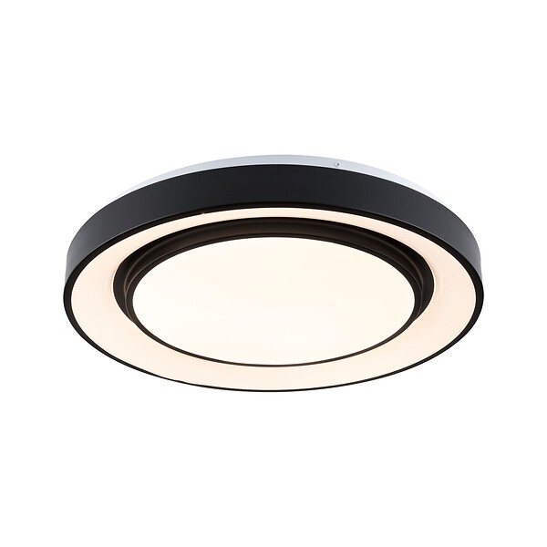 PAULMANN - Panneau LED Rainbow Dynamic RGB TunableWhite 38.5W D.475mm noir - large