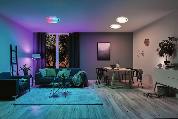PAULMANN - Panneau LED Rainbow Dynamic RGB TunableWhite 38.5W D.485mm blanc - large