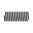 PAULMANN - Kit ruban LED Dynamic Rainbow RGB - Noir - 10.5W - vignette