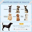 PAWHUT - Niche pour chien - dim. 64L x 57l x 66H cm - PP bleu blanc - vignette