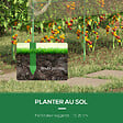 OUTSUNNY - Serre de jardin serre à tomates dim. 4L x 1,23l x 1,71H m acier thermolaqué vert PVC haute densité transparent - vignette