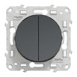 SCHNEIDER ELECTRIC - Odace - double poussoir anthracite - vignette