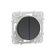 SCHNEIDER ELECTRIC - Odace - double poussoir anthracite - vignette
