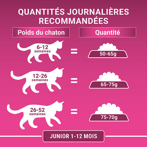 MAT INTER - Croquettes chat Junior - Poulet et Céréales complètes - 1.5kg - large