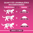 MAT INTER - Croquettes chat Junior - Poulet et Céréales complètes - 1.5kg - vignette