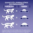 PURINA ONE - Croquettes chat stérilisé - Saumon et blé - 3kg - vignette