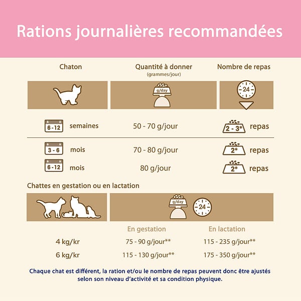 CAT CHOW - Croquettes chaton - Au poulet - Riche en DHA - 1,5 kg - large