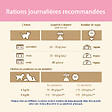 CAT CHOW - Croquettes chaton - Au poulet - Riche en DHA - 1,5 kg - vignette