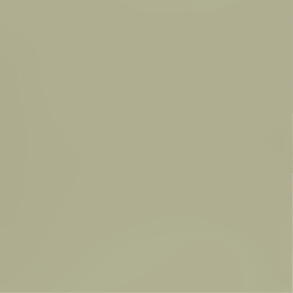 PURE&PAINT - Peinture végétale - Velouté - Lézard - 2,5L - large