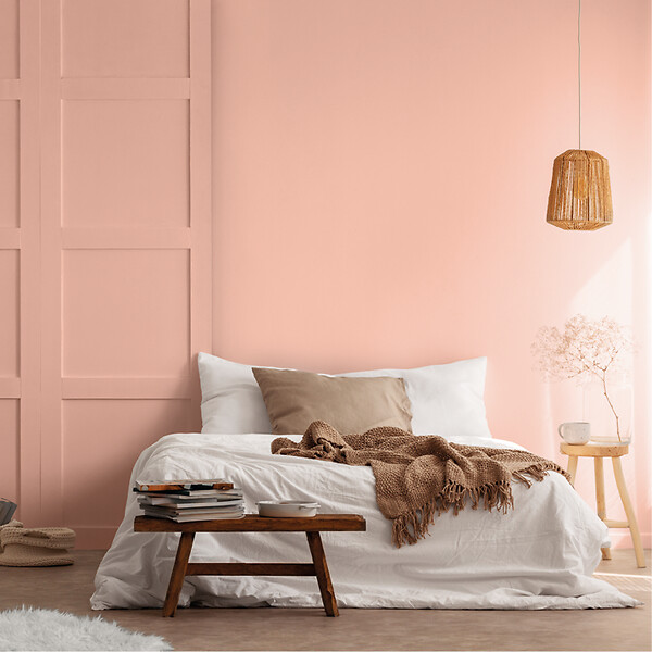 PURE&PAINT - Peinture végétale - Velouté - Roséus - 2,5L - large