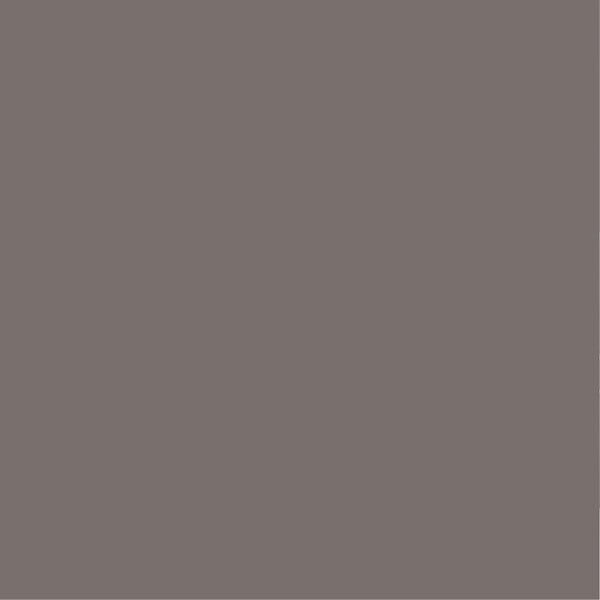PURE&PAINT - Peinture végétale - Velouté - Vison - 2,5L - large