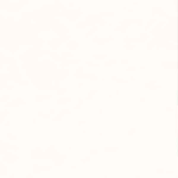 PURE&PAINT - Peinture velouté Pure & Paint - Blanc - 0.5L - large
