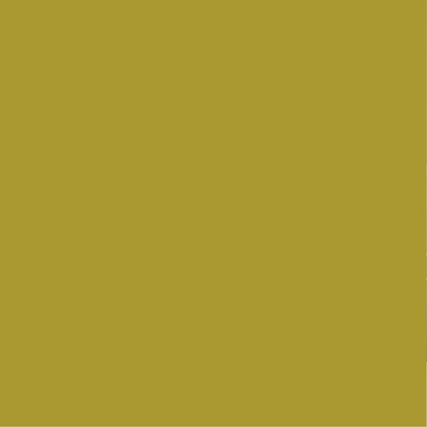 PURE&PAINT - Peinture velouté Pure & Paint - Amazonie - 0.5L - large
