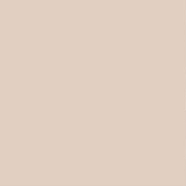 PURE&PAINT - Peinture velouté Pure & Paint - Papier kraft - 0.5L - large