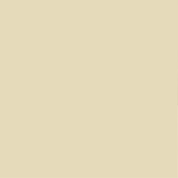 PURE&PAINT - Peinture velouté Pure & Paint - Dune - 0.5L - large