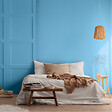 PURE&PAINT - Peinture velouté Pure & Paint - Belle île - 0.5L - vignette