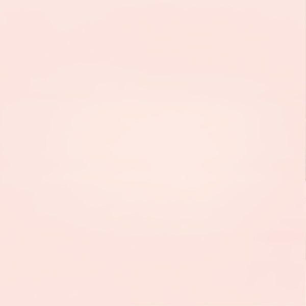 PURE&PAINT - Peinture velouté Pure & Paint - Ballerine - 0.5L - large