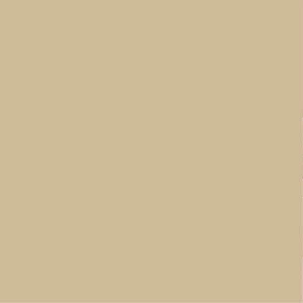 PURE&PAINT - Peinture veloutée Pure & Paint - Sarrasin - 0,5L - large