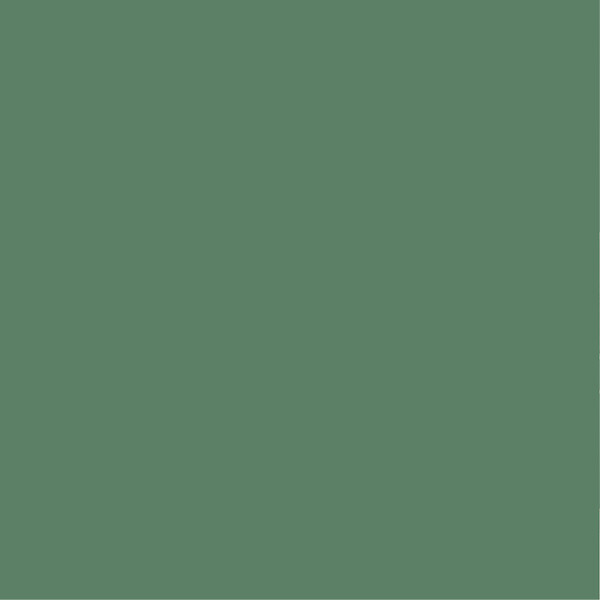 PURE&PAINT - Peinture velouté Pure & Paint - Forêt - 0.5L - large