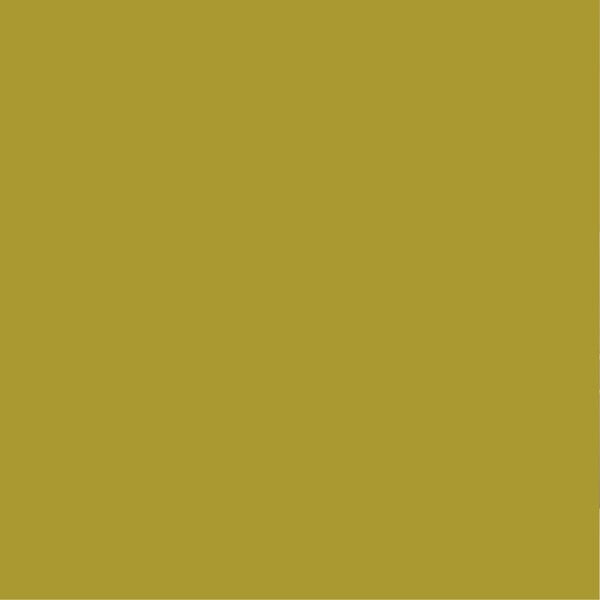 PURE&PAINT - Peinture veloutée - Amazonie - 100ml - large