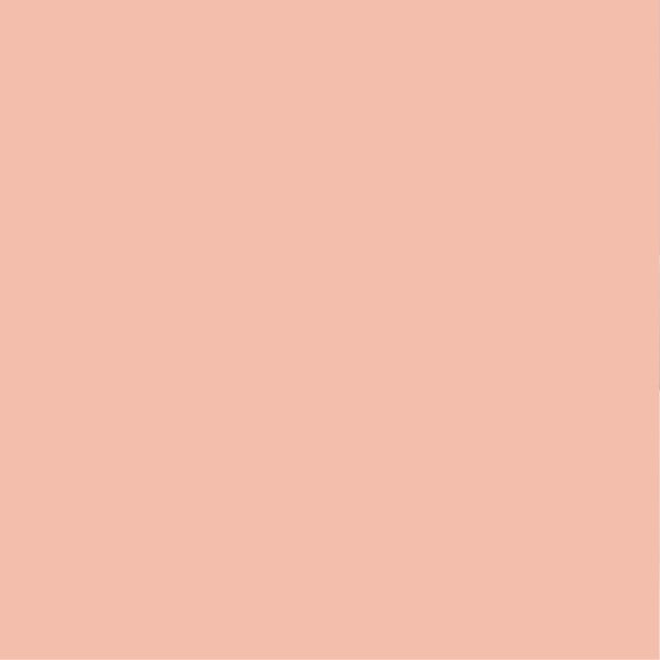 PURE&PAINT - Peinture velouté Pure & Paint - Roséus - 100ML - large